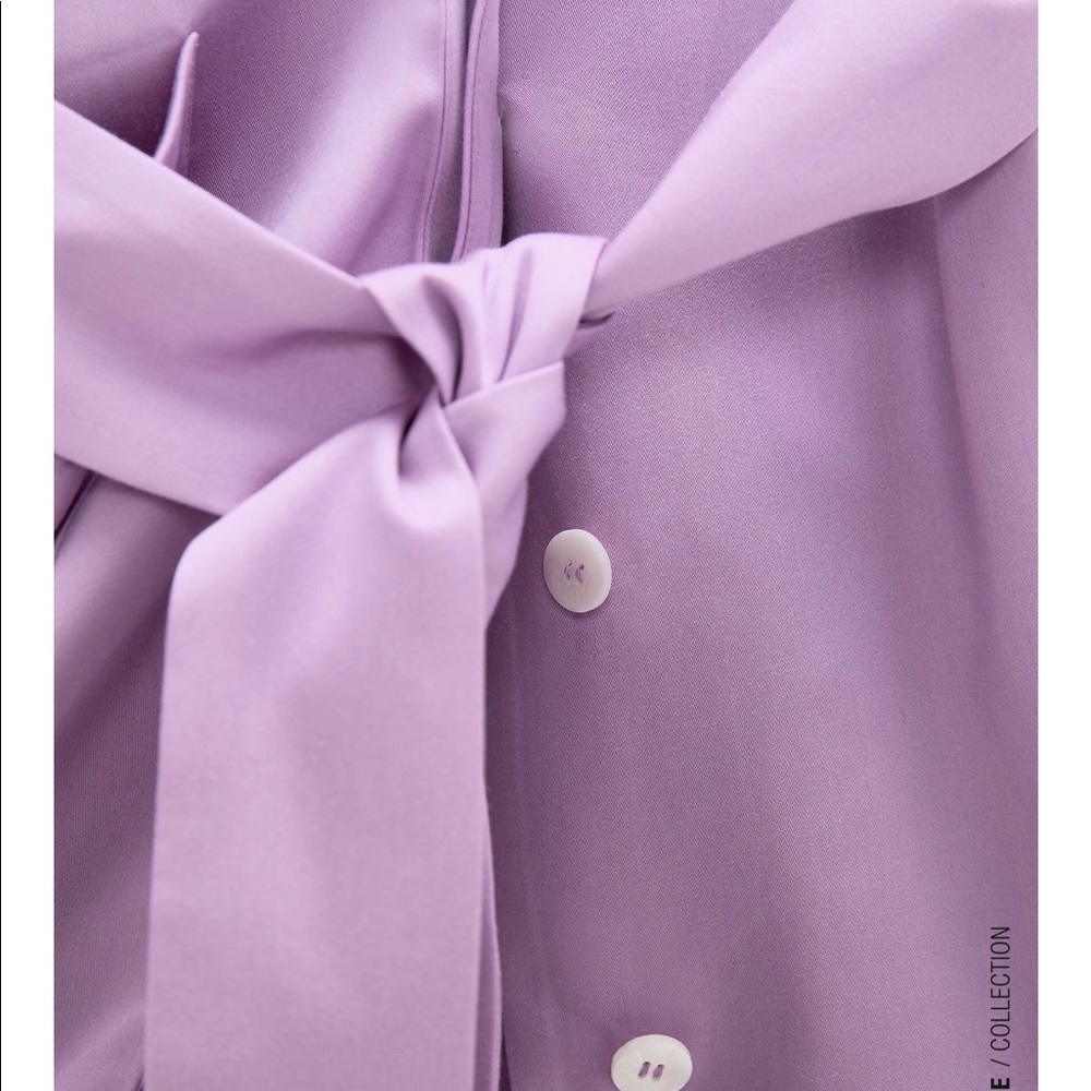 Zara gorgeous Dress!